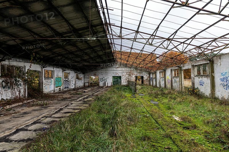 Former hall, dilapidated plant of a former agricultural production cooperative of the former GDR, LPG, Lost Place, Müggenburg, Fischland-Darss-Zingst, Western Pomerania Lagoon Area National Park, Mecklenburg-Western Pomerania, Germany