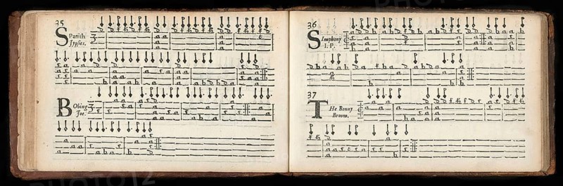 Musick's Delight on the Cithren Author, an early modern music book, first published in 1666 by John Playford