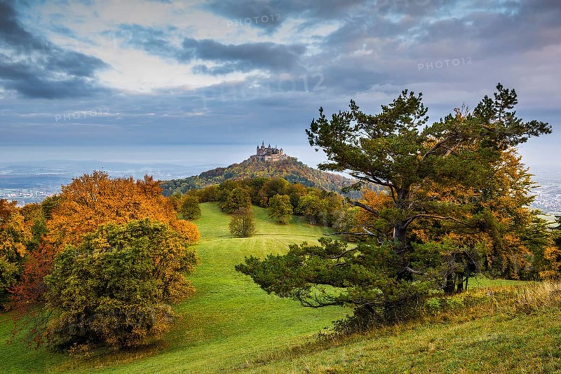 Castle and autumnal forest, Hohenzollern Castle, Hechingen, Swabian Jura, Baden-Württemberg, Germany