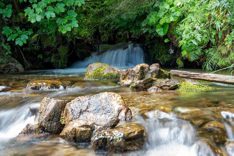 Clear mountain stream, moss-covered stones, Zgornje Jezersko mountaineering village, Slovenia