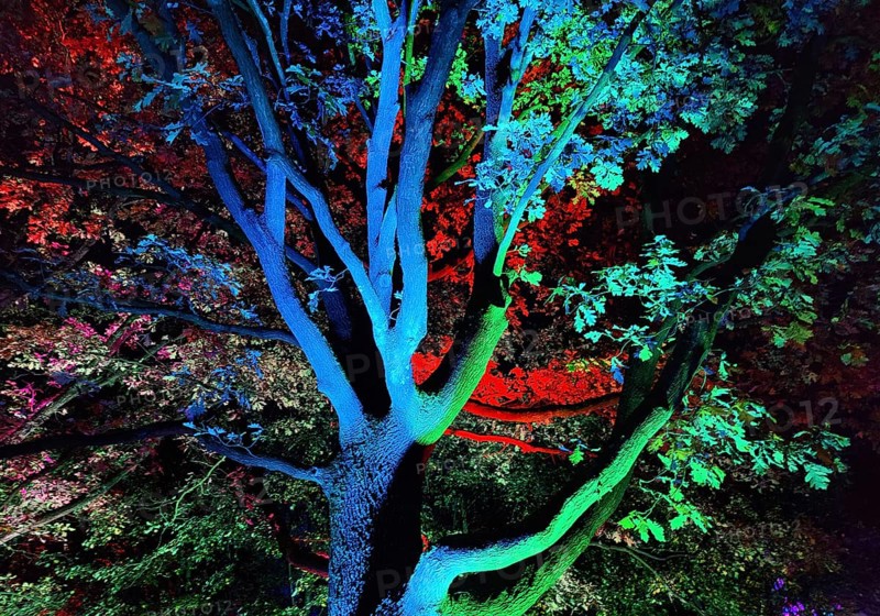 Illumination during the Herbstlichtgarten event in Sauerlandpark in the evening in Hemer, Sauerland, North Rhine-Westphalia, Germany