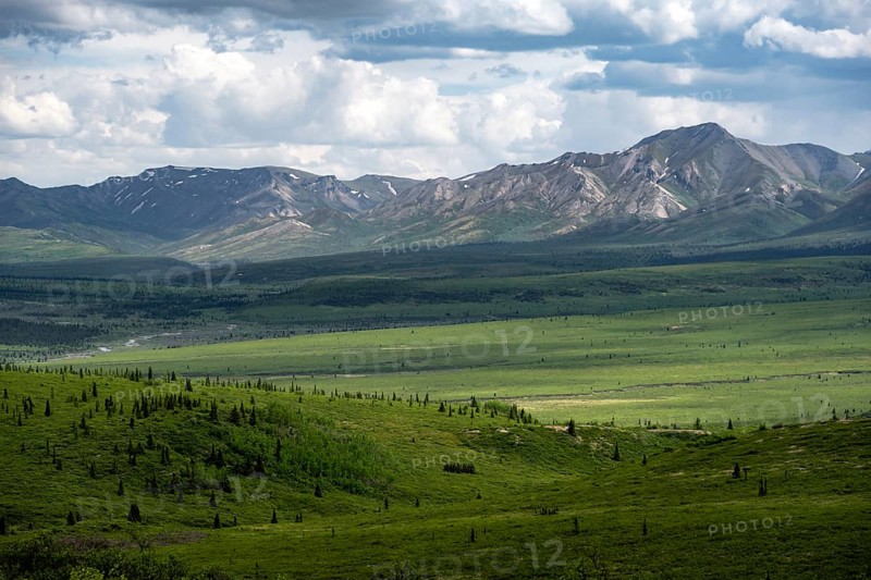 Tundra and mountain landscape with dramatic cloudy sky, Denali National Park, Alaska, USA