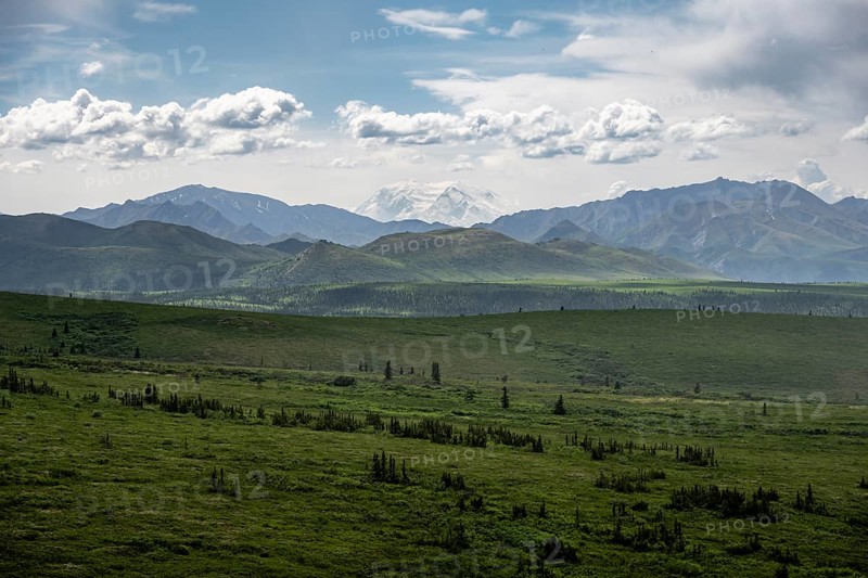Tundra and glaciated peak of Denali or Mount McKinley, mountainous landscape, Denali National Park, Alaska, USA