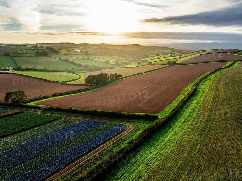 Colours of autumn Fields and Farms over Sheldon from a drone, Torbay, Devon, England, United Kingdom