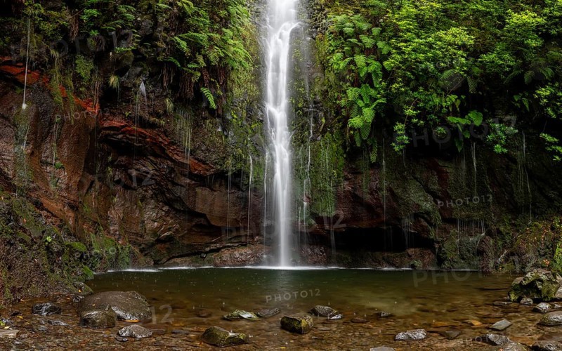 Cascata das 25 Fontes river and waterfall, 25 springs, hiking trail PR6, Levada das 25 Fontes, laurel forest, Rabacal Nature Reserve, Madeira, Portugal