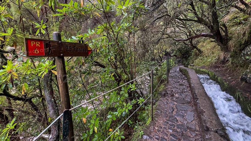 PR6 hiking trail to the 25 springs, along water channel, Levada das 25 Fontes, laurel forest, Rabacal nature reserve, Madeira, Portugal