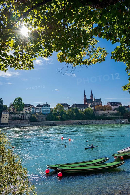 The Rhine with rowing boats in the sunshine in the late afternoon, Basel