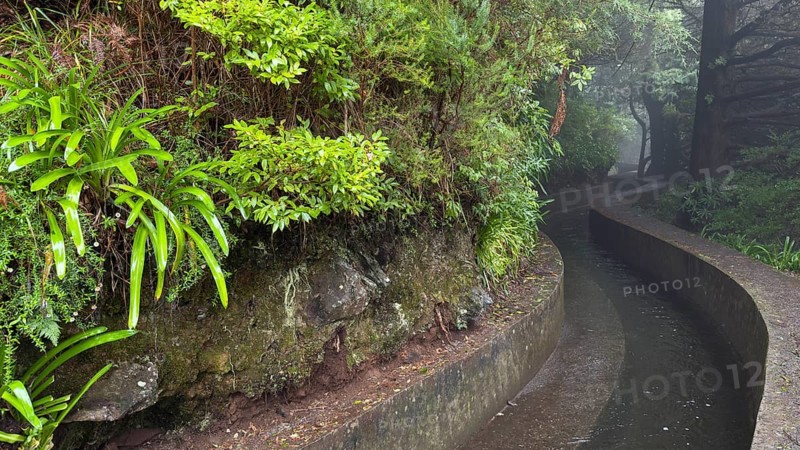 PR17 Pinaculo e Folhadal hiking trail, Levada, Irrigation Canal, Madeira, Portugal