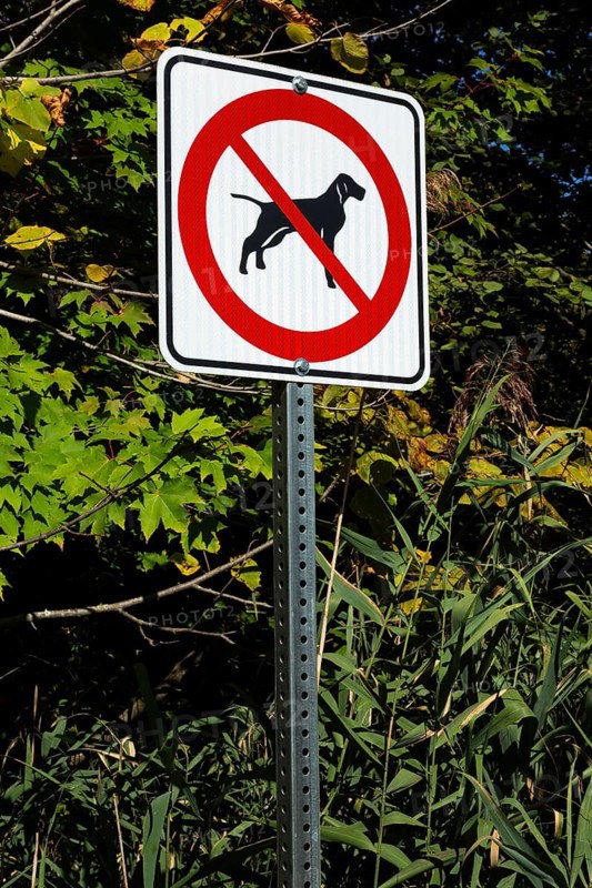 Posted white, red and black pictogram sign warning that dogs are not allowed or forbidden in public park, Quebec, Canada