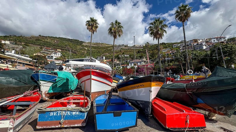 Camera de Lobos fishing village, harbour with fishing boats, Madeira, Portugal