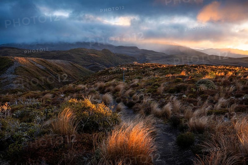 Volcanic landscape, Tama Lake Walk (Tama Lakes Track), evening light, sunset. Tongariro National Park, North Island, New Zealand