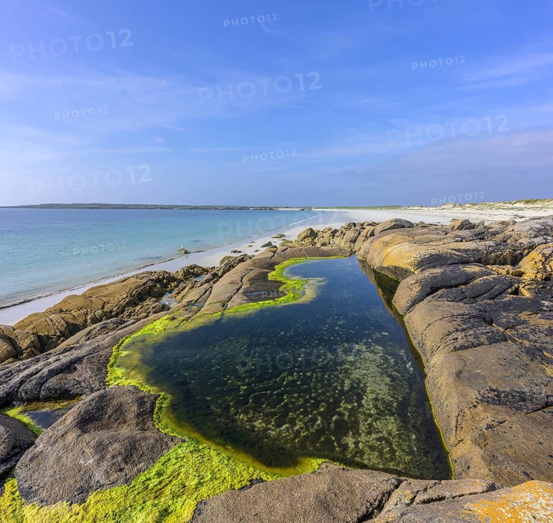 Tide pools with green algae on Gurteen Beach, Roundstone, County Galway, Ireland