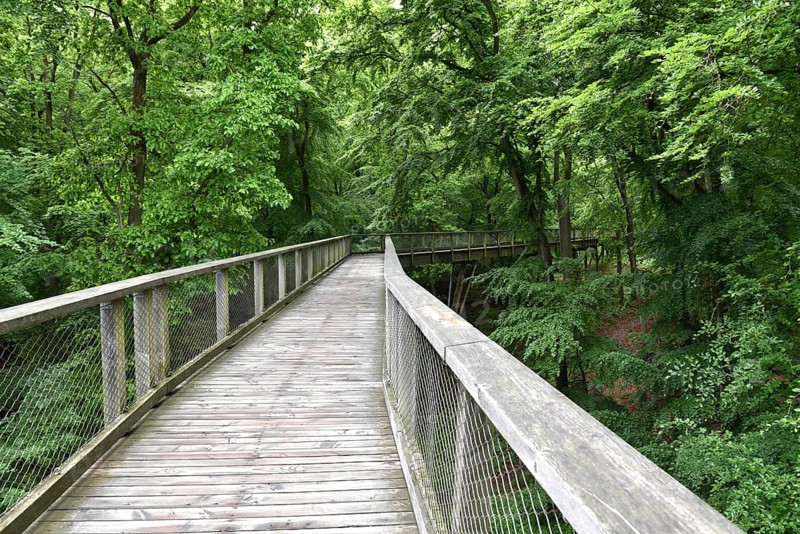 Treetop Trail on Rügen, Natural Heritage Center, Mechlenburg-Vorpommern, Germany