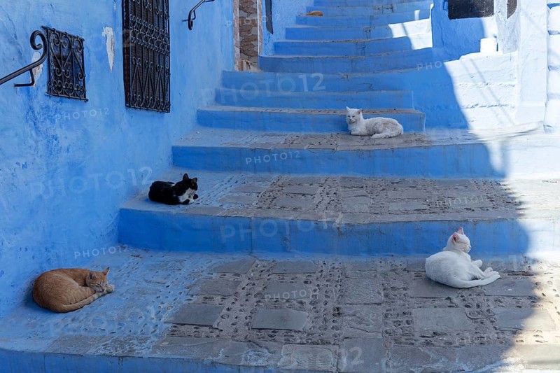 MAR, Chefchaouen, Medina