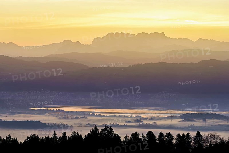 View from Horben of Lake Zug with the city of Cham and Zug covered in fog, behind it the snow-capped mountains Flübrig and Vrenelisgärtli in the light of the rising sun, Beinwil-Freiamt, Canton, Aargau, Switzerland
