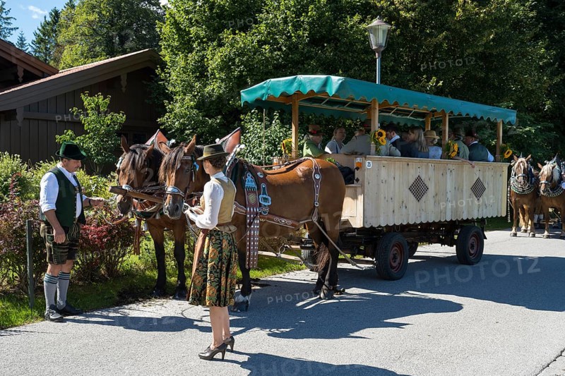 Decorated horses with carriage, horse team, parade at Tegernsee, Rosstag, Rottach-Egern, Upper Bavaria, Bavaria, Germany