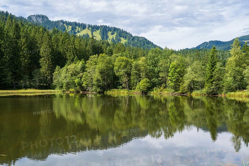 Landscape near Suttensee, wetland, Mangfall Mountains, Rottach-Egern, Upper Bavaria, Bavaria, Germany