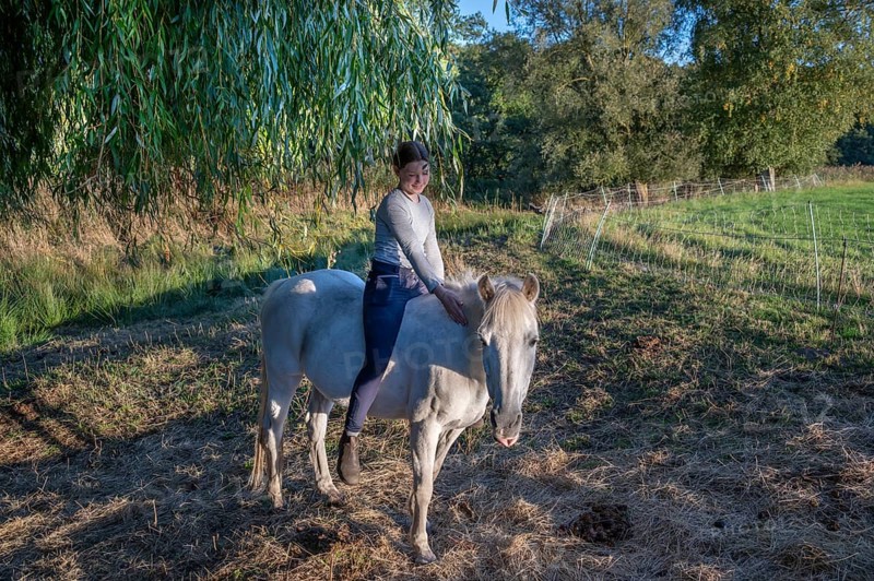 Young girl sitting on her white mare under a willow (Salix), Othenstorf, Mecklenburg-Western Pomerania, Germany