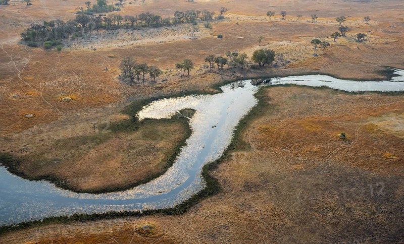 Wetland, landscape, aerial view of the Okavango Delta, near Maun, Okavango Delta, Botswana