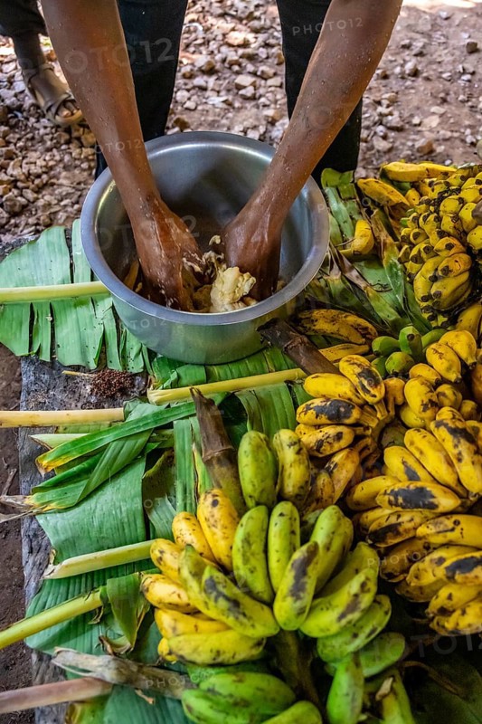 Local man, production of banana juice and banana schnapps, banana plantation, near Fort Portal, Uganda