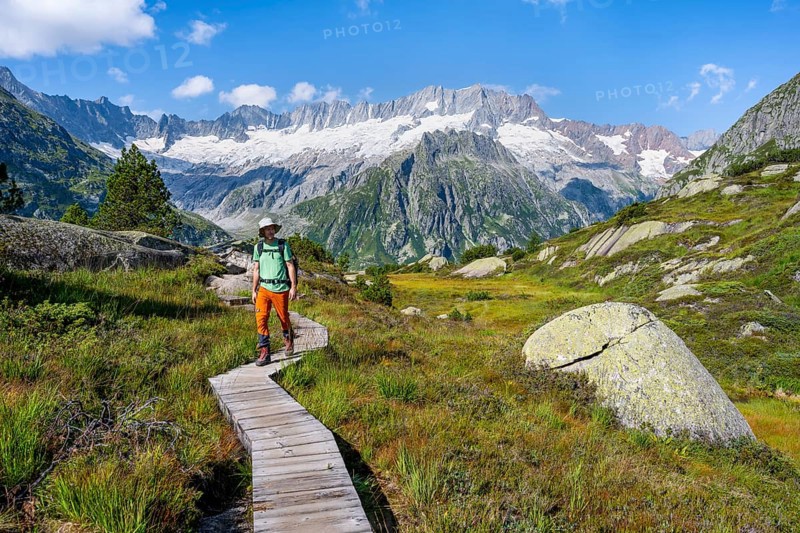 Mountaineers on wooden plank trail through mountain moor, in front of picturesque mountain scenery, Dammastock and Damma glaciers, Göscheneralp, Canton of Uri, Switzerland