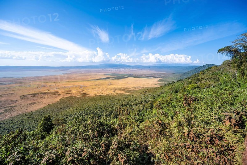 View of Ngorongoro Crater, Crater Viewpoint, Forest and Savanna Landscape, Ngorongoro Conservation Area, Tanzania