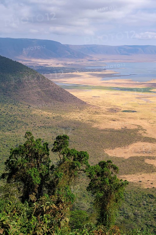 View of Ngorongoro Crater, Crater Viewpoint, Forest and Savanna Landscape, Ngorongoro Conservation Area, Tanzania