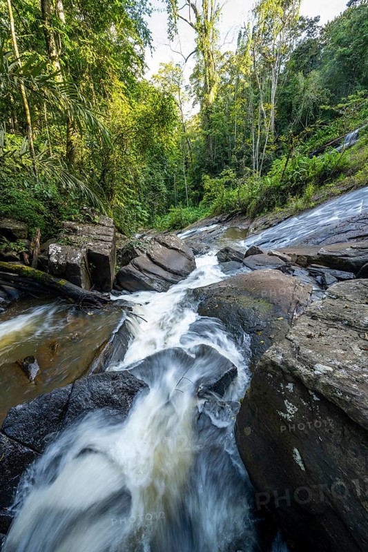 Derema Waterfall flows through thick vegetation, tropical rainforest in Amani Nature Forest Reserve, long exposure, Eastern Usambara Mountains, Tanga, Tanzania