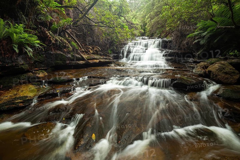 Leura Falls in a lush valley full of ferns and vegetation, Blue Mountains, New South Wales, Australia