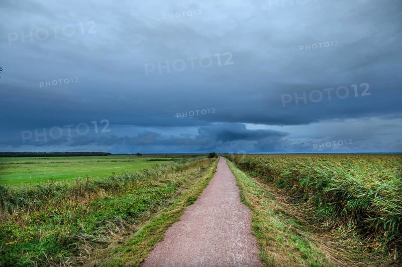 Hiking trail through the lagoon landscape, rain clouds (Nimbostratus), Ahrenshoop, Darß, Mecklenburg-Western Pomerania, Germany