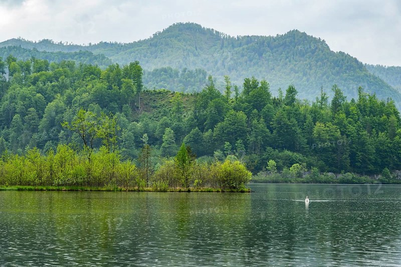 Landscape of Lake Almsee on a rainy day in spring, Salzkammergut, Austria