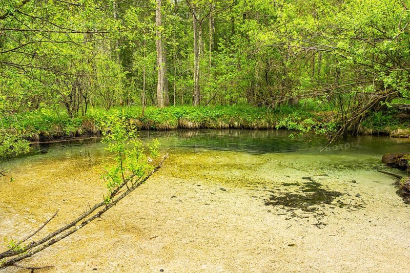 Lanscape of a little stream flowing through the forest in spring on a rainy day, Bavaria, Germany