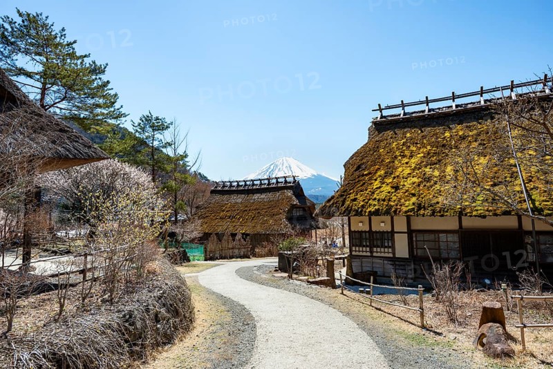 Iyashinosato open-air museum, old Japanese village with traditional houses, at the back volcano Mt. Fuji, Fujikawaguchiko, Saiko, Japón