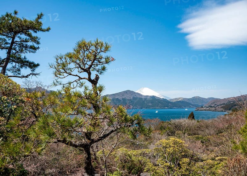 View of Lake Ashi with Mount Fuji volcano, Benten-no-hana Tenbodai viewpoint, Hakone Park, Hakone, Japan