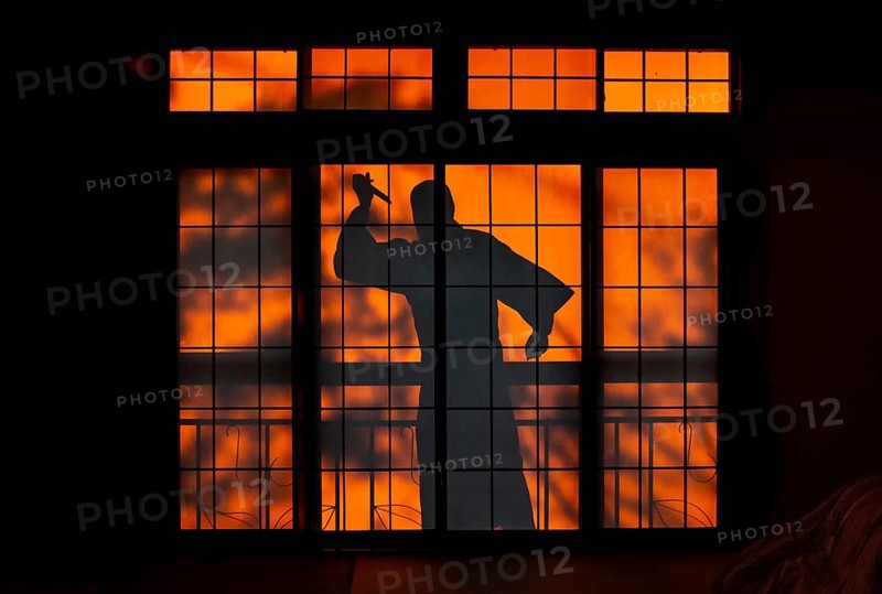 Shadow of a man, burglar with knife, assassin, ninja, on the balcony behind sliding shoji doors in a traditional Japanese house, Yamanouchi, Nagano, Japan