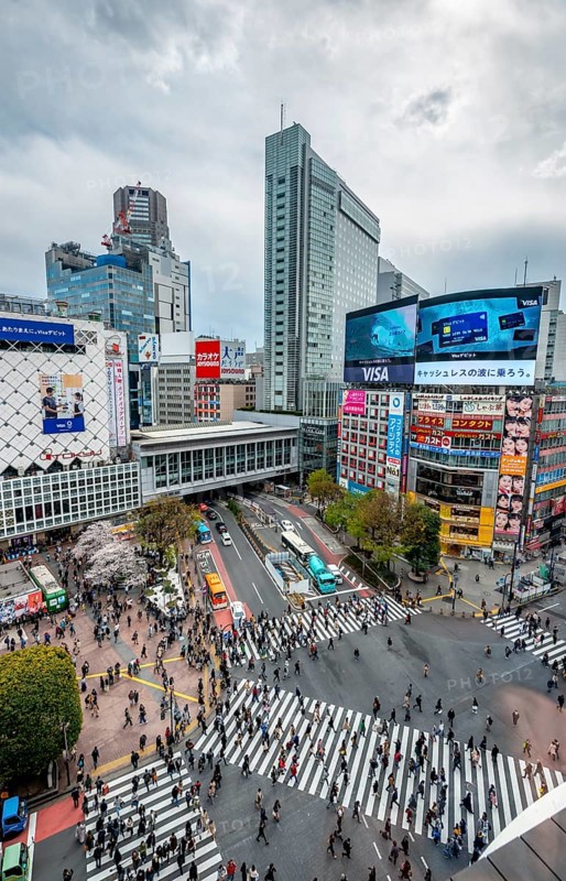 Modern houses with colorful neon signs and large road intersection, Shibuya Crossing from above, crowd at crossroads with crosswalks, Shibuya, Tokyo, Japan