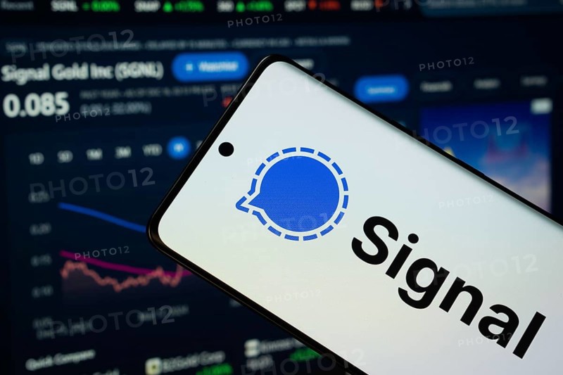 Dhaka, Bangladesh- 01 Nov 2025: Signal logo is seen on a smartphone