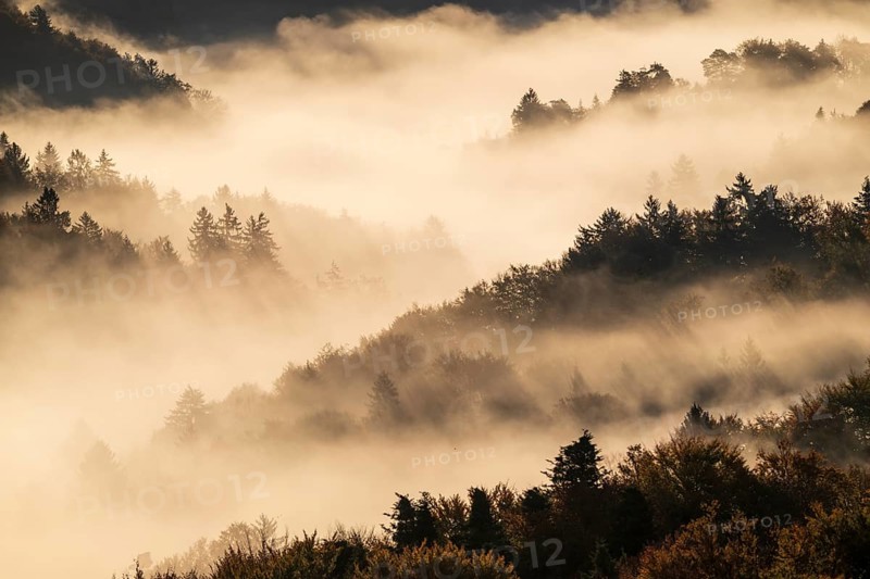 Sunrise, typical landscape in autumn with vineyards and fog, South Styrian hills, South Styrian wine route, Styria, Austria