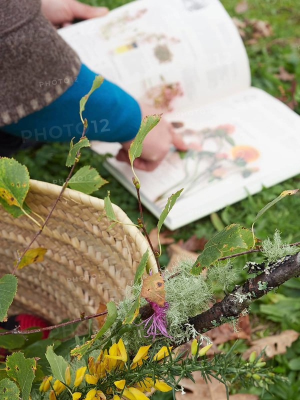 Botanist pointing at a plant illustration in an open book while researching outdoors with a wicker basket and colorful flowers