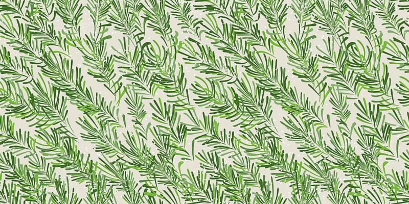 Stylized, hand drawn fir tree branches and snow flakes seamless vector pattern design for winter holidays. Festive decorative background for web, print