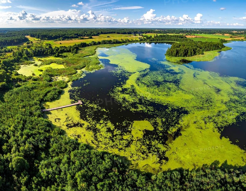 Green algae on the lake. Aerial view of nature, landscape with hills and forest in summer, cloudy sky, golden light at sunset, AI generated