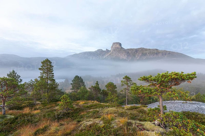 Magical morning fog on Steigtindvatnet in front of the majestic Steigtinden in Norway near Bodø