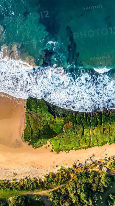 Green algae on the sandy shore of an ocean. Fascinating phenomenon of wild coastline with green plants, white sands, stone, blue water and cliffs, Aerial view of a beautiful abstract unreal and textured landscape, AI generated