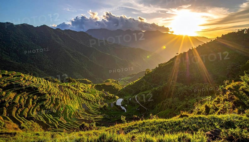 Early morning light bathes Philippines rice terraces cascading down mountain slopes, beautiful golden light, AI generated