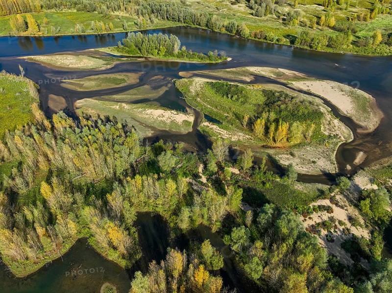 Wesel, Lower Rhine, North Rhine-Westphalia, Germany - autumn on the Lippe, trees with colorful autumn leaves in the restored river floodplain area of Büdericher Insel above the mouth of the Lippe into the Rhine, Lippe estuary nature reserve