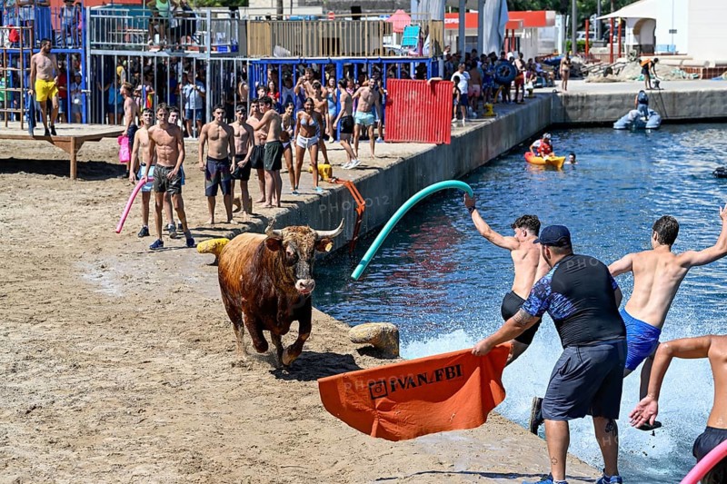 Bous a la Mar Fair, in English Bulls in the Sea, Bullfighting, Javea or Xàbia, Alicante Province, Comunidad Valenciana, Spain