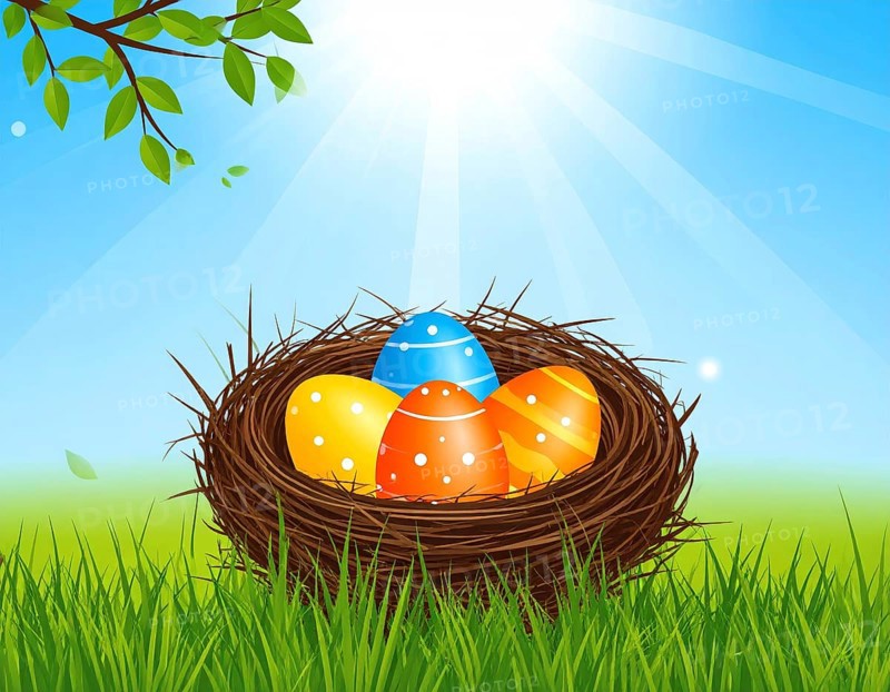 Nest with easter eggs in grass on a sunny spring day, Easter wallpaper decoration drawing, banner, panorama, background, abstract vector illustration, AI generated