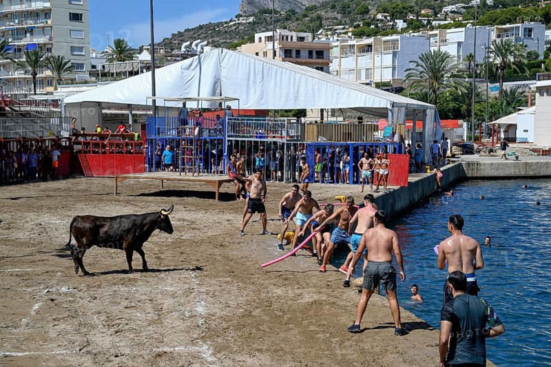 Bous a la Mar Fair, in English Bulls in the Sea, Bullfighting, Javea or Xàbia, Alicante Province, Comunidad Valenciana, Spain