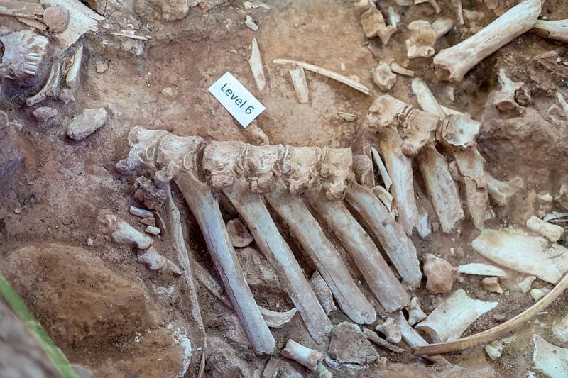 Beulah, Wyoming - The Vore Buffalo Jump, a sinkhole used by Plains Indians as a trap for bison from about 1550 through 1800. Archaeologists have uncovered thousands of bones, though only about 10 percent of the site has been excavated