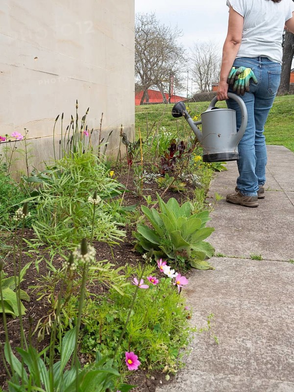 Woman watering plants in a backyard garden, taking care of her flowers and vegetables